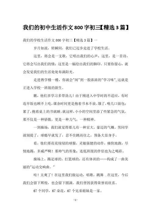 我们的初中生活作文800字初三【精选3篇】