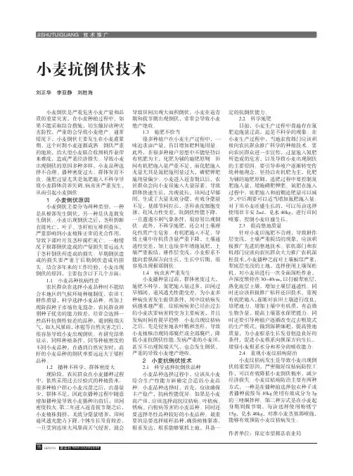 小麦抗倒伏技术