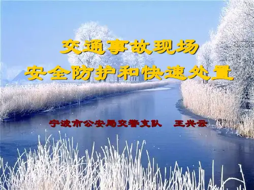 交通事故现场安全防护及快速处置ppt课件