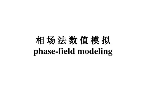 相场法数值 模拟