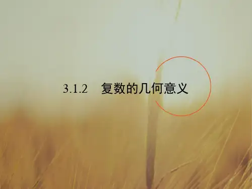 2018学年高中数学选修1-2课件：第3章 数系的扩充与复数的引入3.1.2 精品