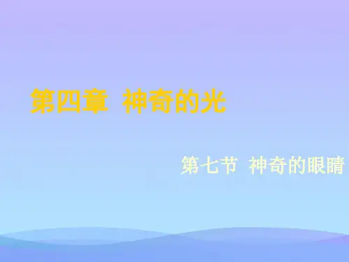 神奇的眼睛ppt2 沪科版优秀课件