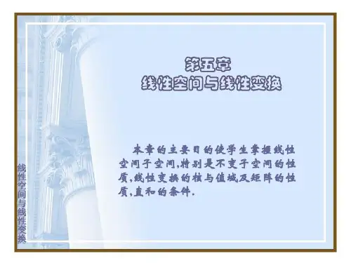 山东大学数学专题高等代数部分第五章第一讲PPT
