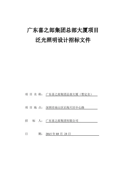 泛光照明设计招标文件