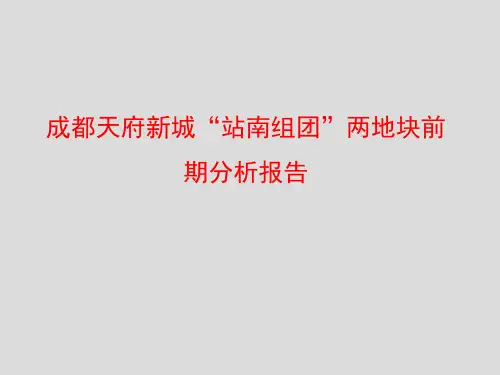 成都天府新城站南组团两地块综合体项目前期分析报告总结92p-