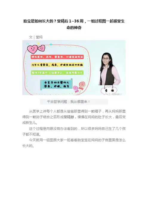 胎宝是如何长大的？受精后1~36周，一组过程图一起感受生命的神奇