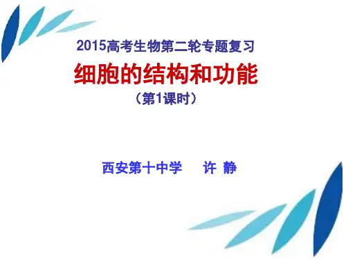 线粒体叶绿体的结构和功能