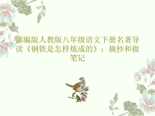 部编版人教版八年级语文下册名著导读《钢铁是怎样炼成的》：摘抄和做笔记35页PPT