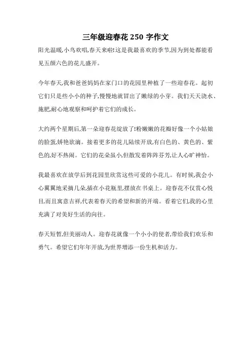 三年级迎春花250字作文