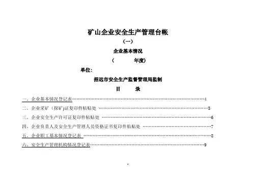 矿山企业安全生产管理台帐(一)
