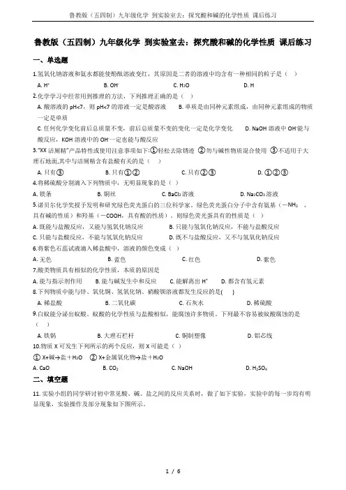 鲁教版(五四制)九年级化学 到实验室去：探究酸和碱的化学性质 课后练习