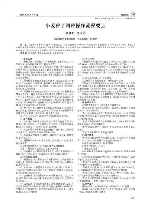 小麦种子制种操作流程要点
