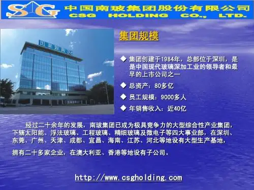 南玻集团