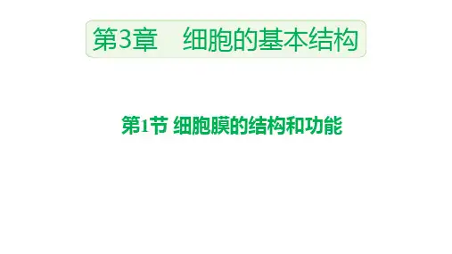 人教版高中生物必修第1册 第3章 第3章 第1节细胞膜的结构和功能