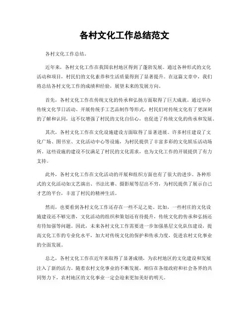 各村文化工作总结范文