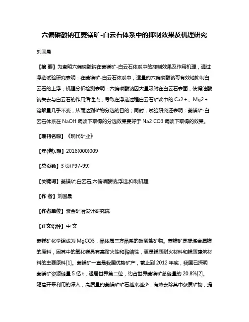 六偏磷酸钠在菱镁矿-白云石体系中的抑制效果及机理研究