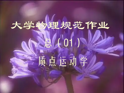 大学物理规范作业解答(全)