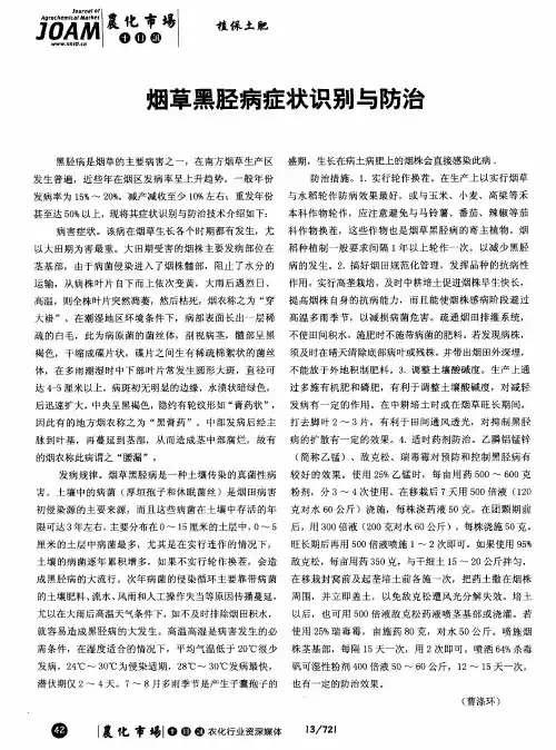烟草黑胫病症状识别与防治