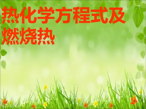热化学方程式及燃烧热