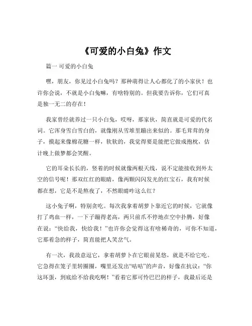 《可爱的小白兔》作文