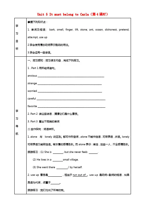 九年级英语全册 Unit 5 It must belong to Carla（第4课时）