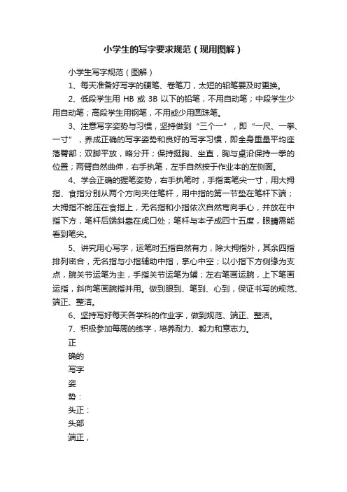 小学生的写字要求规范（现用图解）