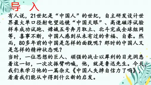 《中国人失掉自信力了吗》ppt课件