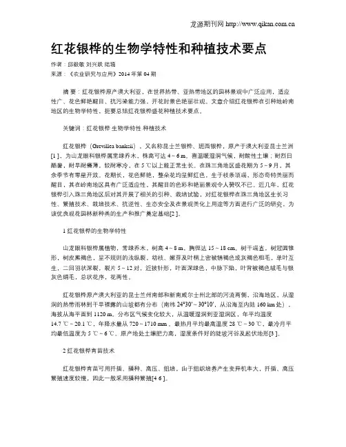 红花银桦的生物学特性和种植技术要点
