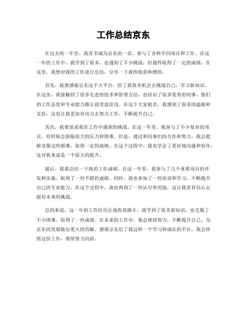 工作总结京东