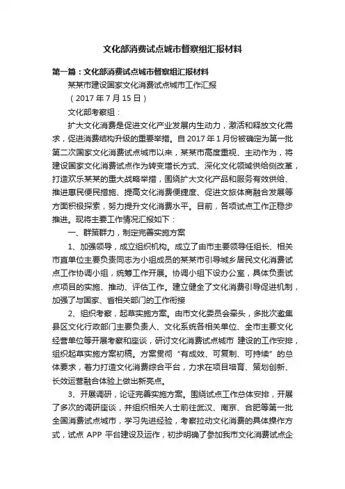 文化部消费试点城市督察组汇报材料