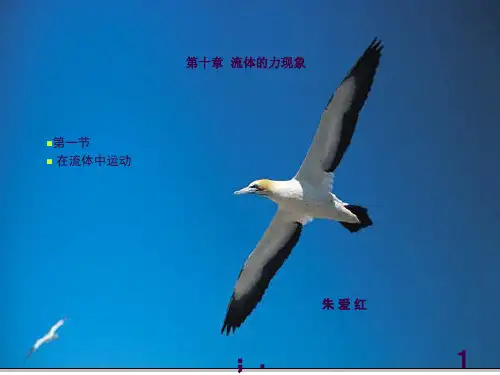 在流体中运动ppt课件