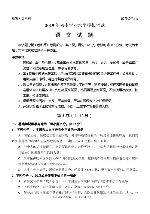 淄博市2019年初中学业水平模拟考试语文初四试题及答案(2)