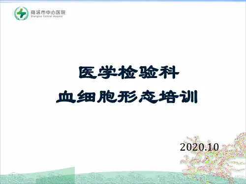 细胞形态学培训