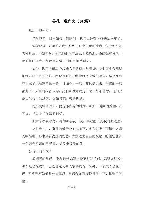 昙花一现作文(10篇)