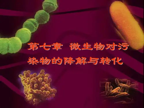 环境微生物-污染物的降解与转化