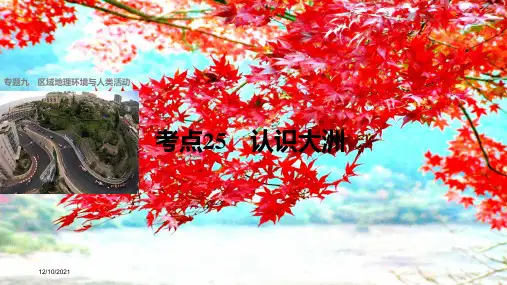 高考地理二轮复习专题九区域地理环境与人类活动考点25认识大洲课件高三全册地理课件