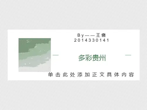 贵州文化民族文化