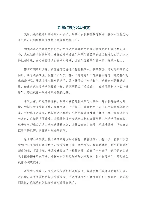 红领巾好少年作文