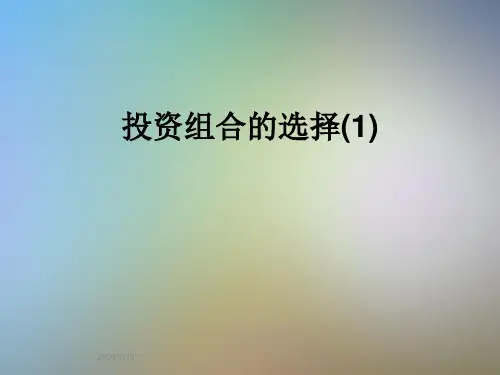投资组合的选择(1)