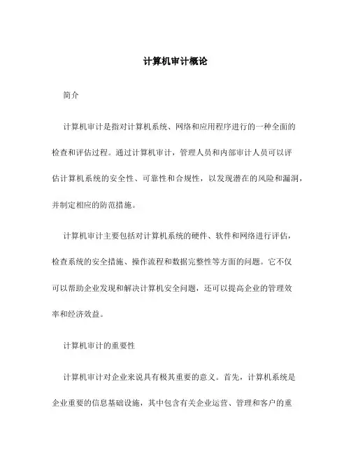 计算机审计概论
