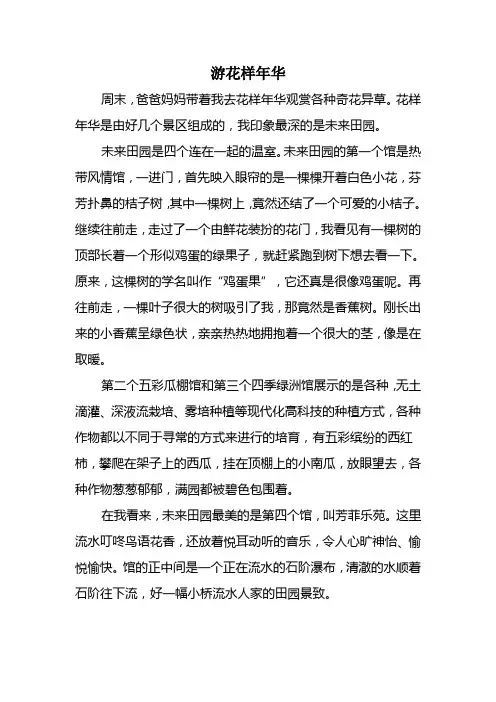 游花样年华