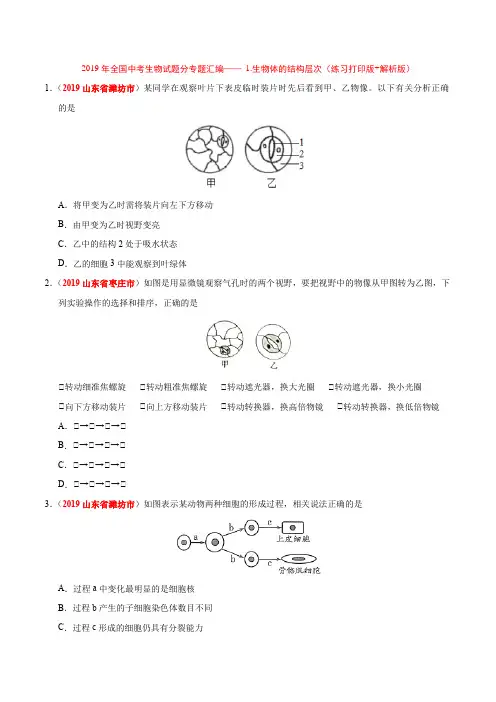 2019年全国中考生物试题分专题汇编—— 1.生物体的结构层次(练习打印版+解析版)