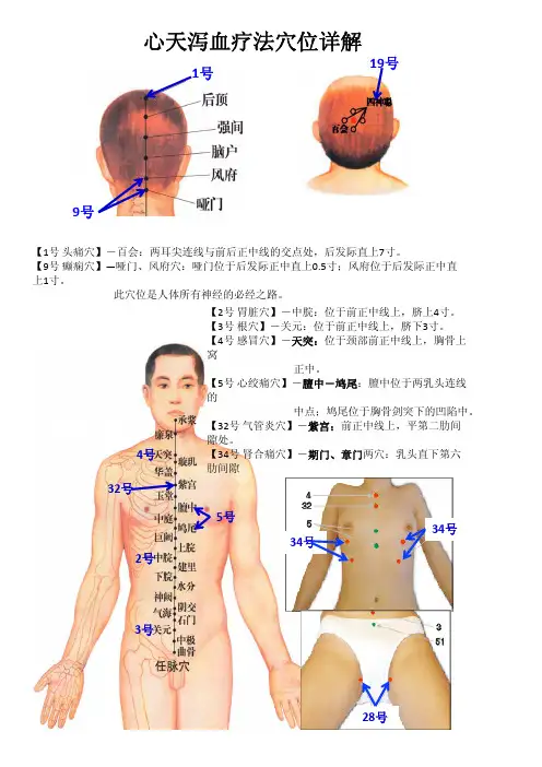 心天泻血穴位图详解 个人学习总结 