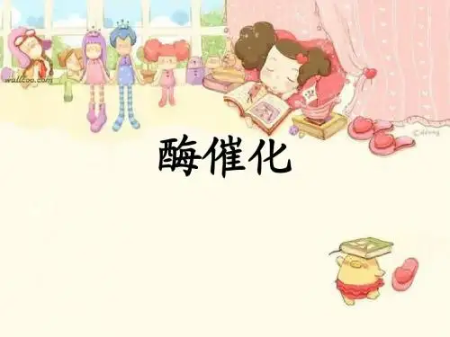 酶催化