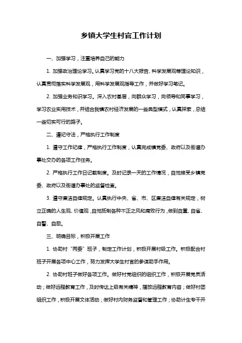 乡镇大学生村官工作计划