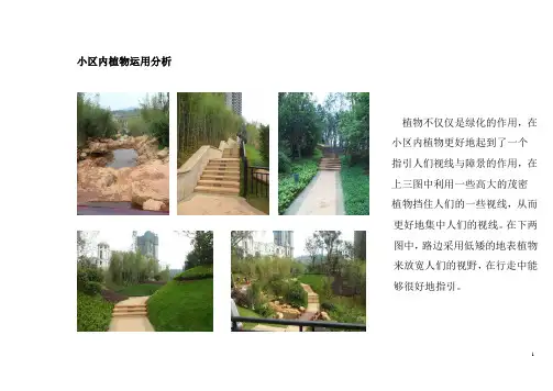 住宅区景观设计调研报告1