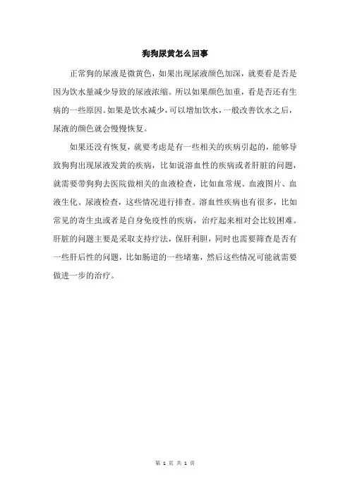 狗狗尿黄怎么回事