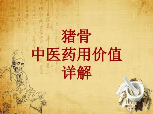 中药学_猪骨_药材详解课件模板_性味