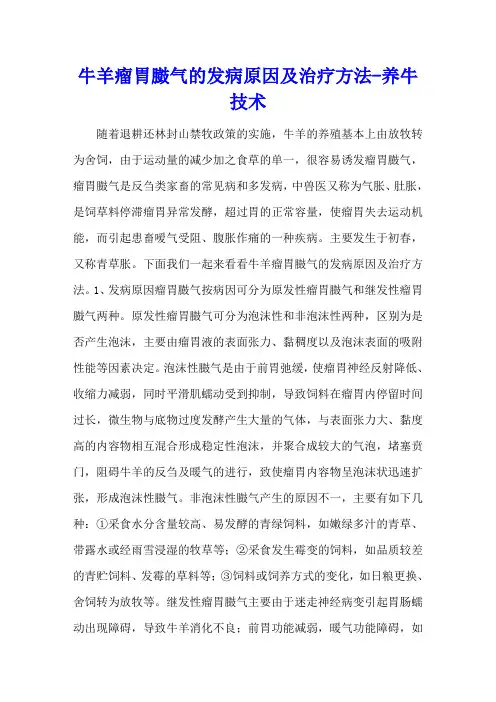 牛羊瘤胃臌气的发病原因及治疗方法 - 养牛技术