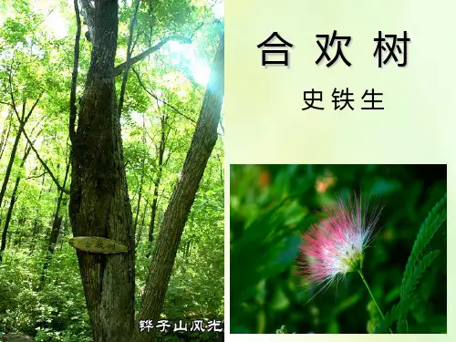 中职语文一年级下册《合欢树》ppt史铁生